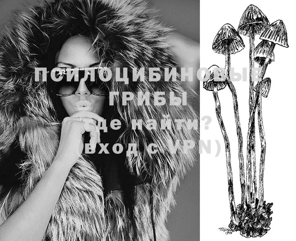прущие крисы Липки