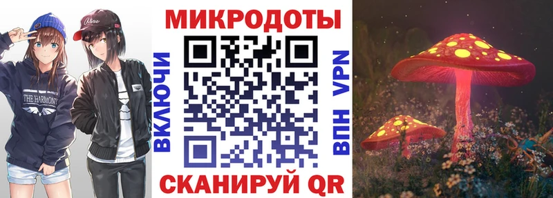 Псилоцибиновые грибы Psilocybe  ссылка на мегу ССЫЛКА  Екатеринбург 