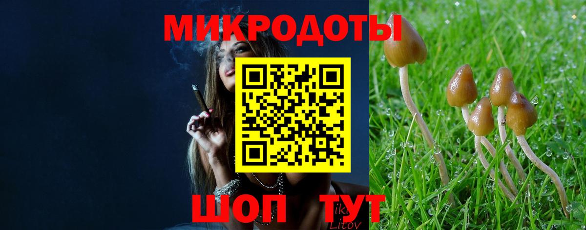 Екатеринбург  Псилоцибиновые грибы Magic Shrooms  Псилоцибиновые грибы прущие грибы  Вход с VPN 